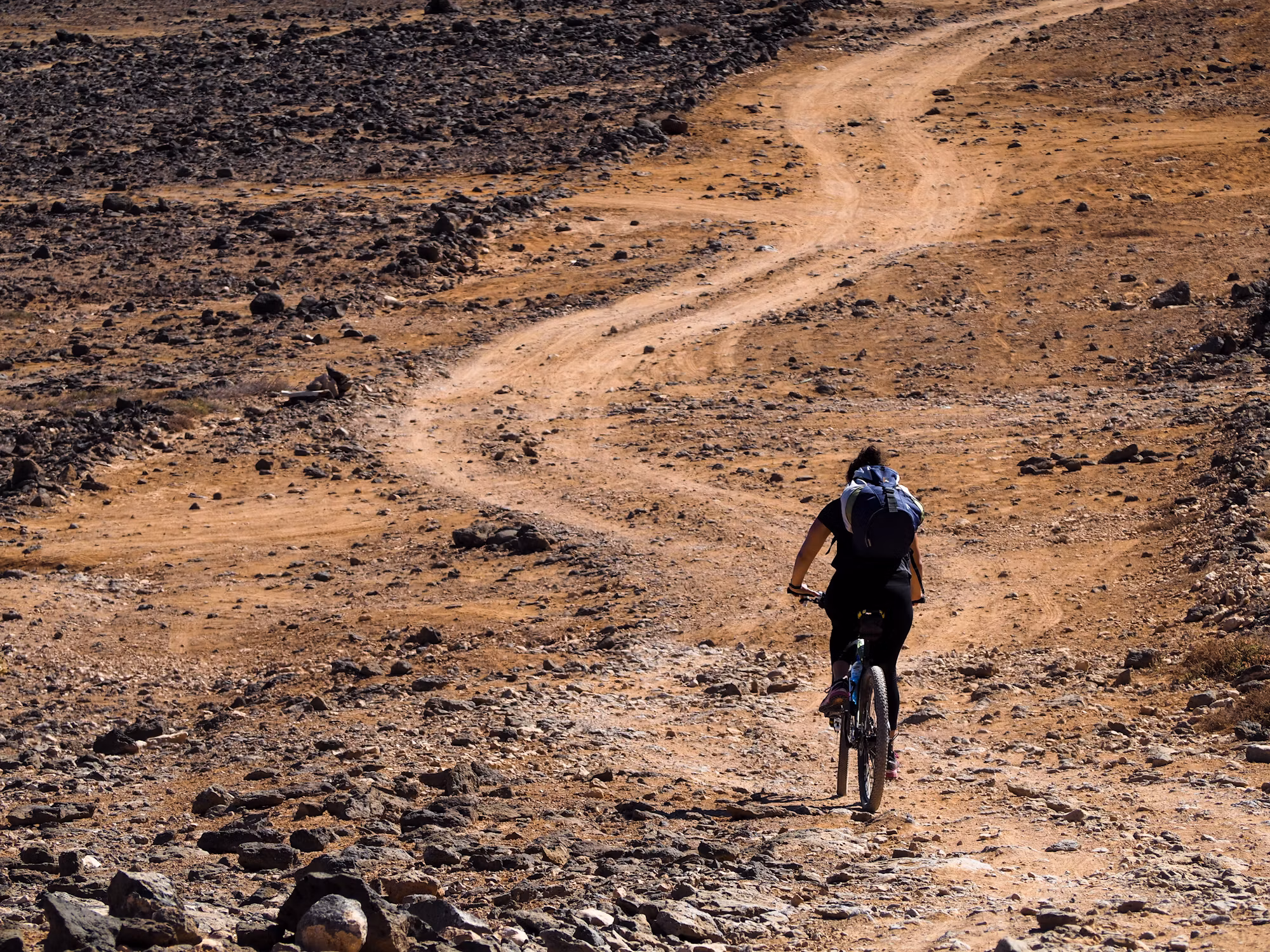 Cycling  Edible Through Time: A Journey of Evolution and Impact